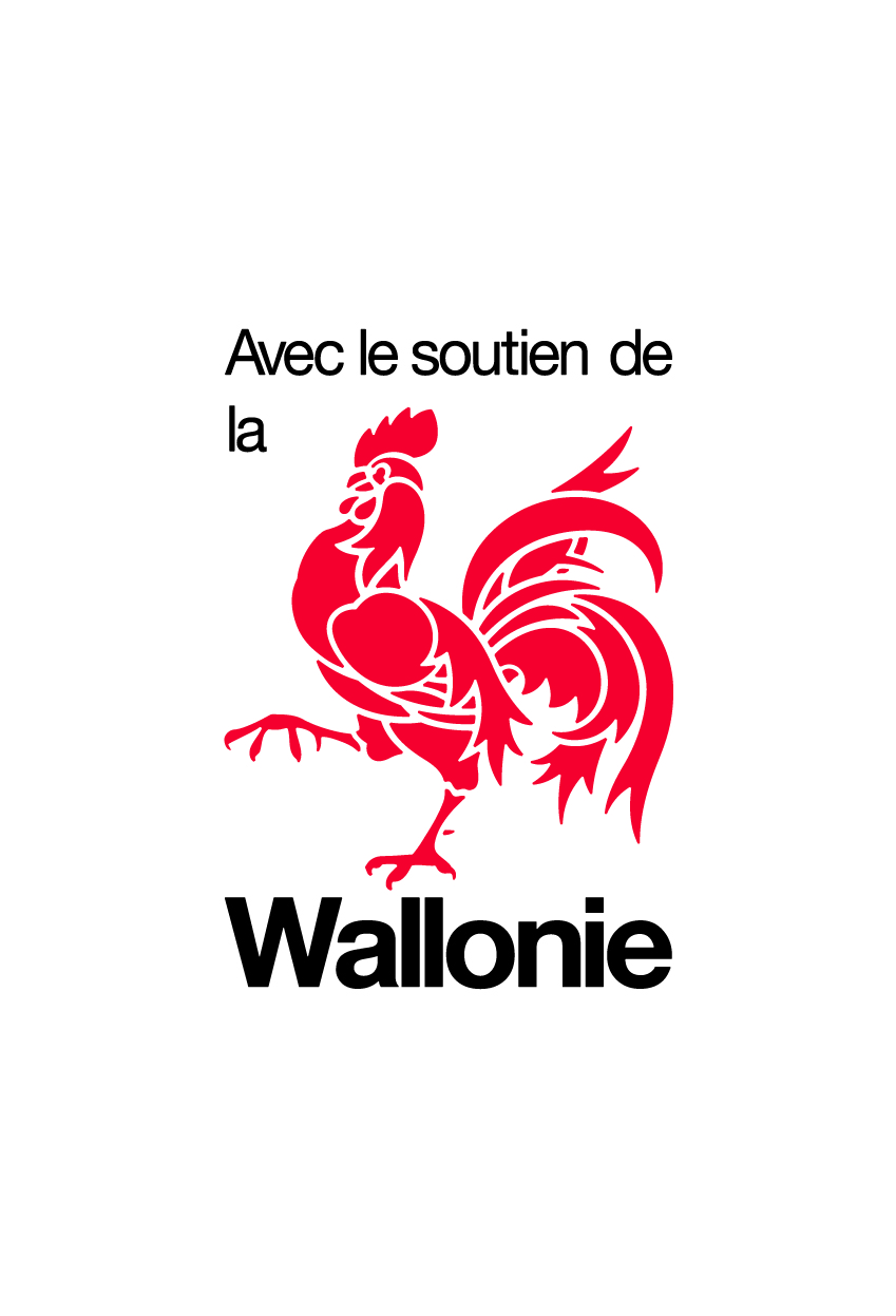 wallonie v